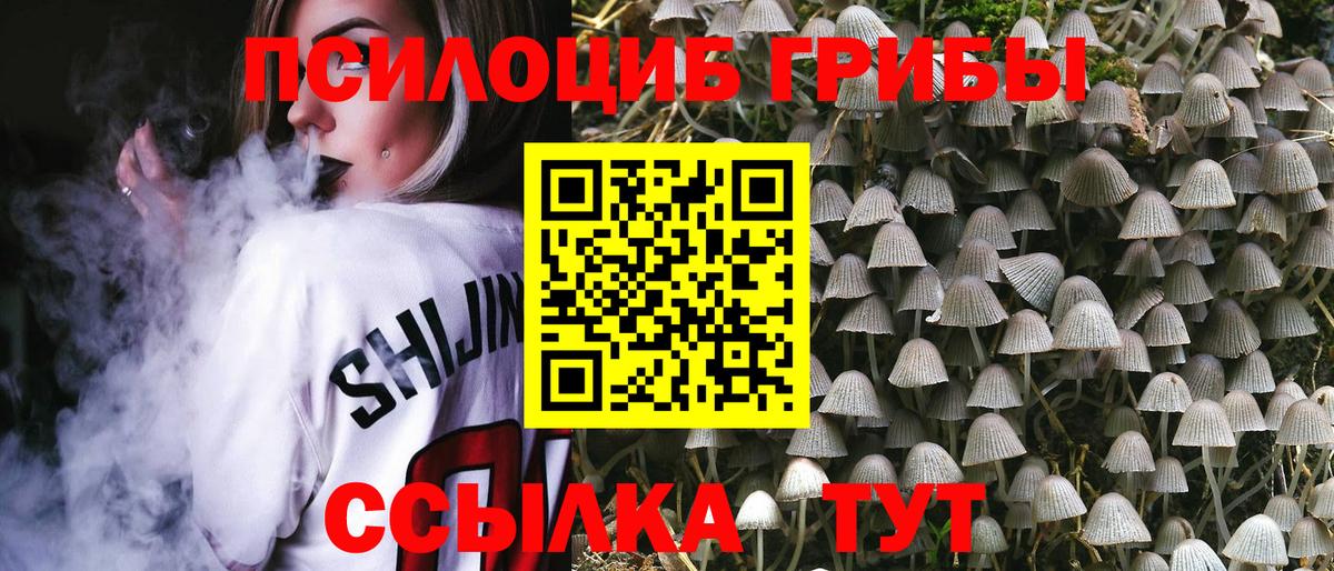 Галлюциногенные грибы Psilocybe  Псилоцибиновые грибы прущие грибы  Светлоград  Вход с VPN 